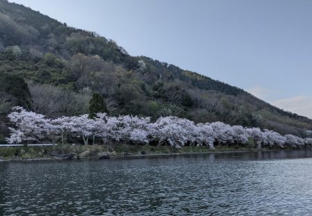 レイクトロ－リング＝ビワマス釣り！